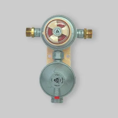 Productafbeelding van Automatische omvormerkit 'LPG', dubbel stadium, 6 kg/uur