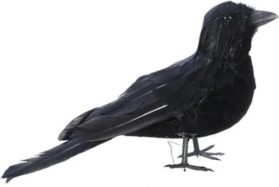 Productafbeelding van Kraai Decoratie - Nep Vogels - Feest Versieren - Realistisch Ontwerp - 3 Stuks - Zwart