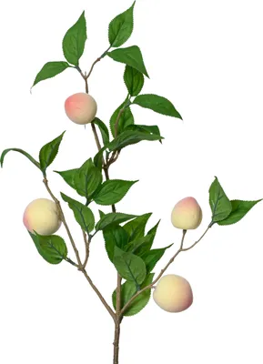 Produktbild von Künstlicher Zweig Pfirsich Baum 23x10x56cm Rosa Grün