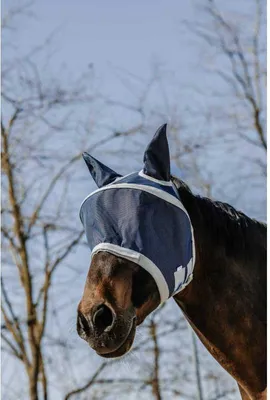 Produktbild von Equitheme Anti Uv Cerceau Fliegenmaske  L  L