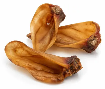 Produktbild von Rinderohren getrocknet mit Muschel für Hunde 1 Kg Hundesnack Kausnack Hundeleckerlie getreidefrei natürlich ohne Zusätze
