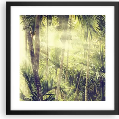Produktbild von Gerahmtes Poster - Schwarzer Rahmen - Morgendämmerung Dschungel Palmen - 40x40 cm - Wand Bild - Wanddeko - Wandbilder - Kunstposter - Wandposter - Bilderrahmen - Bilder - Kunstdruck - P2BAC40x40-4450