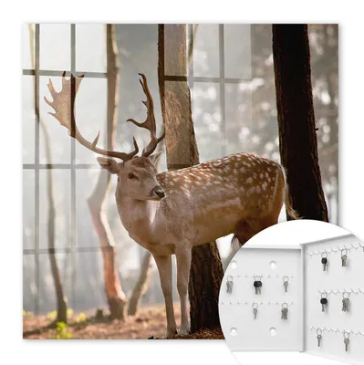 Produktbild von Metall Schlüsselkasten 30 x 30 cm - weißer Schlüsselschrank zur Wandmontage - wandhängende Schlüsselbox mit Tür - rechts öffnend - Schlüsselaufbewahrung für Flur - Büro - Arbeitszimmer - Werkstatt - Garage - Hirsche im Wald