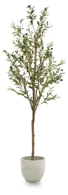 Zdjęcie produktu dla Solidchoice - Sztuczna oliwa, 180 x 65 cm, do dekoracji