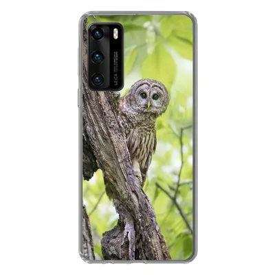 Produktbild von MuchoWow® Handyhülle Schutzhülle Hülle für Huawei P40 Eule - Wald - Licht Silikon Softcase Handy Hülle - Handytasche