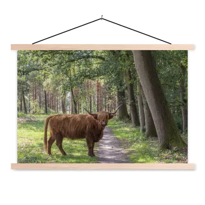 Produktbild von MuchoWow® Textilposter Schottischer Highlander - Kröte - Baum 120x80 cm mit holzfarbenen Rahmen - Aufhängeset