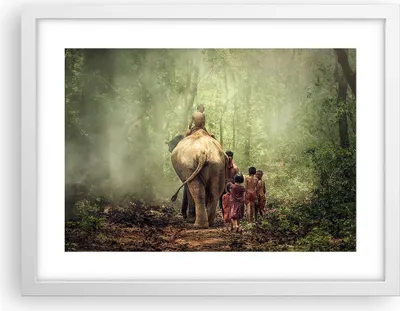 Produktbild von Gerahmtes Poster - Weißer Rahmen - Elefant Dschungel Nebel - 40x30 cm - Wand Bild - Wanddeko - Wandbilder - Kunstposter - Wandposter - Bilderrahmen - Bilder - Kunstdruck - Wandbild - P2WAA40x30-3438