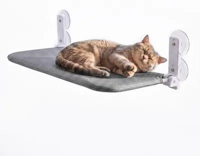 Immagine prodotto di Amaca per gatti Fudajo, 30 x 60 cm, grigio scuro, amaca per gatti da finestra, adatta a gatti fino a 10 kg, cuccia per gatti con ventose per finestre