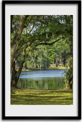 Produktbild von Bild - Bilderrahmen - 40 cm x 60 cm - MDF - Rahmen - Wandkunst - See im Park