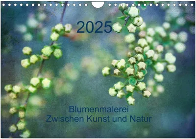 Produktbild von Kalender 2025 (Wandkalender 2025 DIN A4 quer), CALVENDO Monatskalender