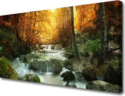 Produktbild von Tulup Leinwand-Bilder 100x50 Wandbild Canvas Kunstdruck Wasserfall Wald Steine Natur