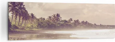 Produktbild von Bild auf Leinwand - Leinwandbild - Einteilig - Palmen Strand Wasser - 160x50cm - Wand Bild - Wanddeko - Wandbilder - Leinwanddruck - Bilder - Wanddekoration - Leinwand bilder - AB160x50-4917
