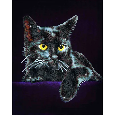 Produktbild von Midnight Cat Diamond Dotz: 28x36 cm