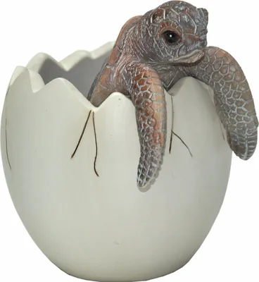 Produktbild von Stifthalter Kugelschreiberhalter Schildkröte - 8 x 8 x 9 cm