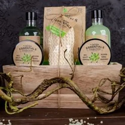 Produktbild von Accentra Olive, Unisex, Olive, 50 ml, 50 ml, 260 ml, 260 ml