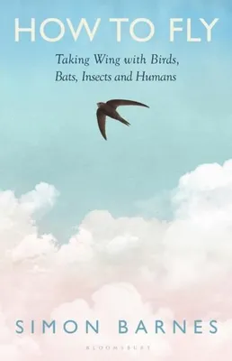 Image de How to Fly