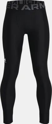 Obrázek produktu pro Legíny HG Armour Leggings-BLK