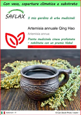 Immagine prodotto di SAFLAX Garden to go - Artemisia annuale Qing Hao - 250 semi - Artemisia