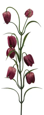 Produktbild von Kunstblume FRITTILARIE ca 63cm. Schachblume, Lilie, Fritillaria. PINK