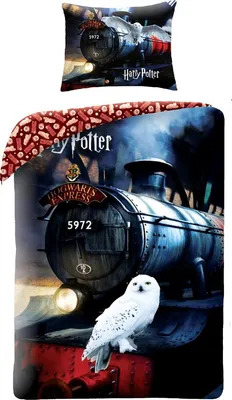 Produktbild von Komplet Pościeli Rozmiar 140X200 Cm + 1X70X90 Cm Harry Potter