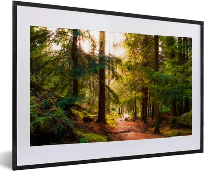 Produktbild von MuchoWow® Gerahmtes Poster Wald - Weg - Bäume - Grün - Sonne - Natur 60x40 cm - Poster mit Schwarzem Bilderrahmen Wandposter Rahmen Foto Bilder - Schlafzimmer - Plakat in Rahmen - Drucken