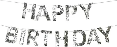 Immagine prodotto di Striscione di Buon Compleanno, 2,2 m, Argento