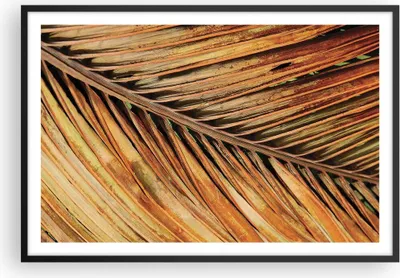 Produktbild von Gerahmtes Poster - Schwarzer Rahmen - Orange Blatt Tropisch - 91,5x61 cm - Wand Bild - Wanddeko - Wandbilder - Kunstposter - Wandposter - Bilderrahmen - Bilder - Kunstdruck - P2BAA91x61-4876
