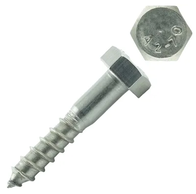 Image de Vis à bois en acier inoxydable M10x50 mm (50 pièces)