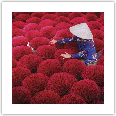 Produktbild von Poster - Poster ohne Rahmen - Trocknen Weihrauch Vietnam - 40x40 cm - Wand Bild - Wanddeko - Wandbilder - Kunstposter - Wandposter - Bilder - Kunstdruck - Wanddekoration - Wandbild - P2XAC40x40-4655
