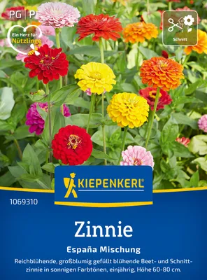 Produktbild von Kiepenkerl Zinniensamen España 70 Pflanzen