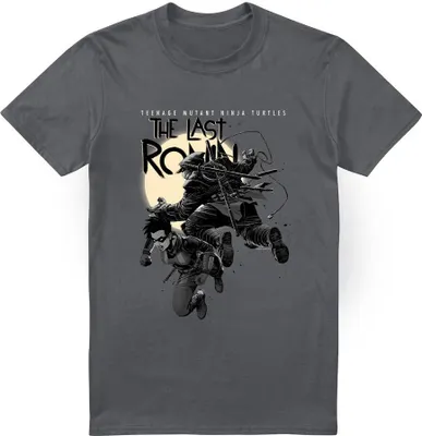 Produktbild von Teenage Mutant Ninja Turtles - T-Shirt für Herren TV6487 (M) (Holzkohle)