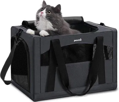 Productafbeelding van Draagbare Transportbox voor Katten - Veilig en Comfortabel voor Huisdieren
