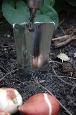 Image de Esschert Design Louche en acier inoxydable pour transplanter les fleurs ; GT08