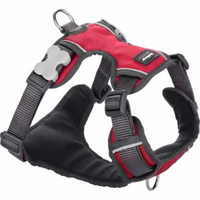 Immagine prodotto di Pettorina per cani Red Dingo Imbottitura Red Taglia S