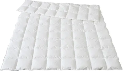 Produktbild von Traumina SILK DE LUXE Daune leichte Sommerdecke Größe 200x200 cm