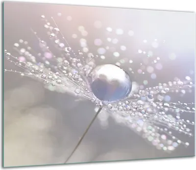 Obrázek produktu pro Kryt varné desky Skleněný kryt varné desky Splashback 60x52cm Flower