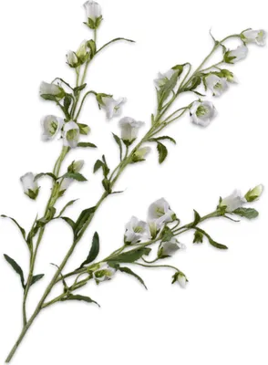 Produktbild von Silk-ka Künstliche Blume – Seidenblumen, Campanula-Zweig, Weiß, 112 cm