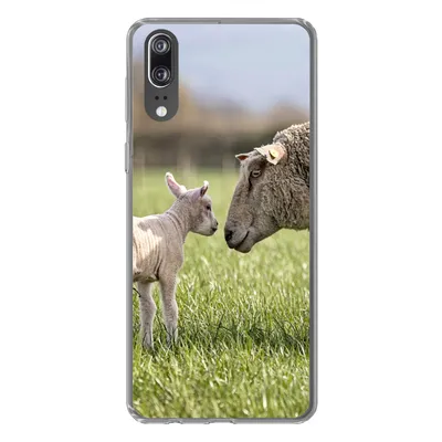 Produktbild von MuchoWow® Handyhülle Schutzhülle Hülle für Huawei P20 Schafe - Gras - Lamm Silikon Softcase Handy Hülle - Hardcover