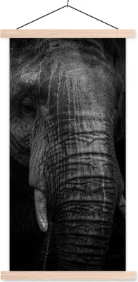 Produktbild von MuchoWow® Textilposter Elefant auf schwarzem Hintergrund in schwarz und weiß 60x120 cm mit holzfarbenen Rahmen - Holz