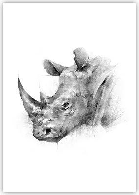 Produktbild von Poster - Poster ohne Rahmen - Nashorn Porträt Grafik - 70x100 cm - Wand Bild - Wanddeko - Wandbilder - Kunstposter - Wandposter - Bilder - Kunstdruck - Wanddekoration - Wandbild - P2XPA70x100-4378