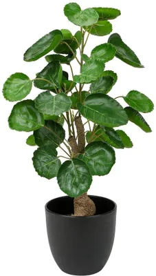 Image de Plantes artificielles de 45 cm, petites, pour la décoration du salon et de la chambre à coucher