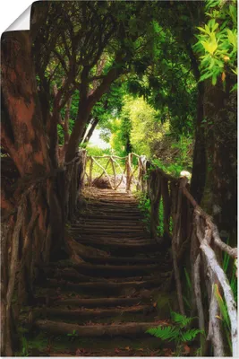 Produktbild von ARTland Poster Wanderweg Größe: 60x90 cm