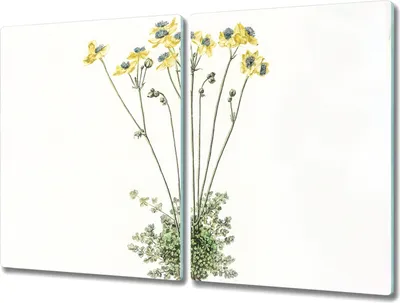 Produktbild von Coloray Schneidebrett Herdabdeckplatte 2x40x52 cm Kochplattenabdeckung Hackbrett Küchenbrett - Blumen Pflanzen