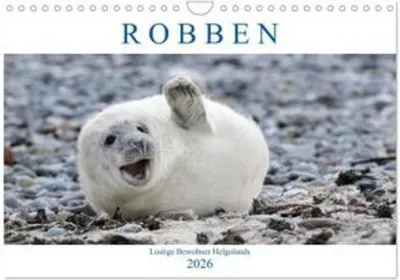 Immagine prodotto di Foche - I simpatici abitanti di Helgoland (calendario da parete 2026 DIN A4 orizzontale), CALVENDO Calendario mensile