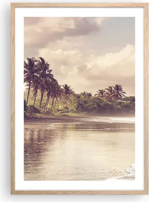 Produktbild von Gerahmtes Poster - Rahmen in heller Eiche - Palmen Strand Wasser - 50x70 cm - Wand Bild - Wanddeko - Wandbilder - Kunstposter - Wandposter - Bilderrahmen - Bilder - Kunstdruck - P2NPA50x70-4917