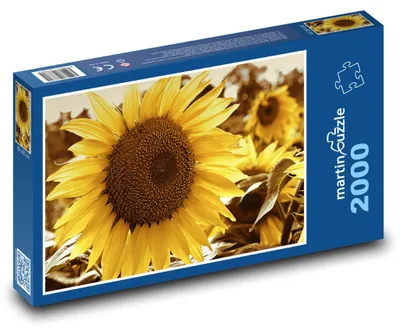Obrázok produktu pre Puzzle 2000 Slnečnica v plnom kvete - martinpuzzle