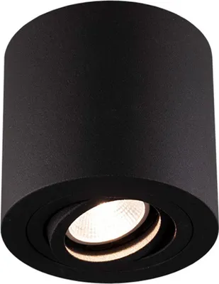 Obrázok produktu pre Stropné svietidlo Fantasia Ø 9 cm Olala Round Black