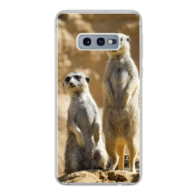 Produktbild von MuchoWow® Handyhülle Schutzhülle Hülle für Samsung Galaxy S10e Felsen - Erdmännchen - Tiere Silikon Softcase Handy Hülle - Handy