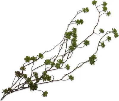 Produktbild von Silk-ka Kunstpflanze Farn hängend, Seidengrün, 130 cm