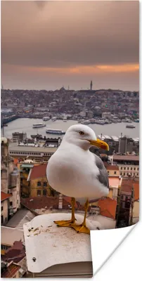 Produktbild von MuchoWow® Poster Seemöwe - Istanbul - Architektur 75x150 cm - Dekoration für die Wände